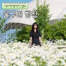 서울 근교 샤스타데이지 천국 고양 ‘물구리빵집‘ 내돈내산 후기