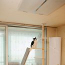 큰누나네집 이미지