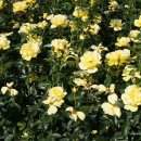 자연속의 휴식공간 이미지