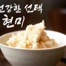 만성여행사