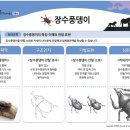 홍익입시미술교습소