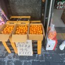 씨티청과 이미지