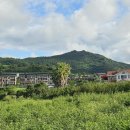 상예입구 이미지