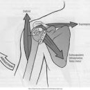 메디인스트롱 이미지