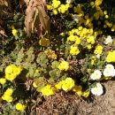 압구정초등학교 이미지