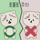 사거리포차 - 태백시 | 사거리포차