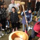 한일인삼 | 2025 한일 인삼심포지엄 : 후기