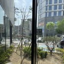 스타벅스오산원동DT점 이미지