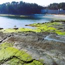 남파랑길 이미지