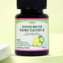 레브정