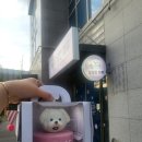 모모한 하루 | 부산 강아지 케이크 모모한 하루에서 주문 제작한 후기