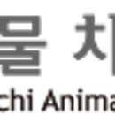 이비치 동물치과병원 이미지