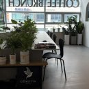 운정서울여성의원 이미지