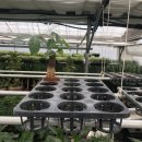 남사농장 이미지