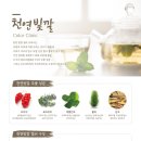천연염색빛깔 이미지