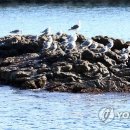 하루byH 이미지