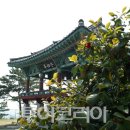 동백서적 투어코리아