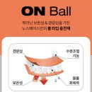 남성세탁소 | 색상 남자 사이즈 S(90)구매 및 여성 온볼 눕시와 사이즈 비교, 남성용 패딩 여자가 입었을때의 착용 후기