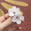 (주)한국썸&#48313; | 4월 둘째주 포토 다이어리 (안녕, 샘물 같은 사람)