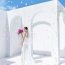 웨딩 사진 사설 보정 : 달빛보정, 라무드, 퓨이 스튜디오, 리유포토 무료 샘플 비교