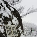 동막골게스트하우스 네이버블로그