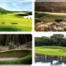 나인브릿지CC 이미지