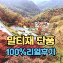 말티재 단풍 전망대 100% 리얼후기