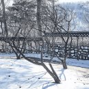 "눈 대신 낭만이 내리는 12월의 감성 여행지 4곳" 이미지