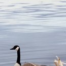 데칼코마니 이미지