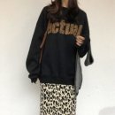 H1081 이미지