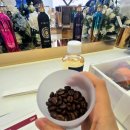 갤러리 코랄 리프 커피 | 몽탈 만세라 전시 후기｜시향 행사까지 다녀온 솔직 리뷰