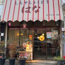 코스모스여화 | 광주 월산동 술집 코스모스, 사장님 추천 아롱사태 전골 먹고 재방문 확정한 이유