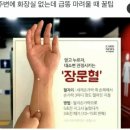 윤군 | 서울녀의 대전살이 (26. 6. 24. 수)