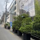 카페 125 | 약수역 디저트가 맛있는 조용한 느좋 카페 그라운드125 후기