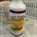 봄빛약국 | 안양 봄빛병원 임당재검사 후 임당 확진 임당산모의 재검 꿀팁