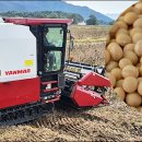 황룡농협 이미지