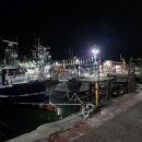 명제로-2 | 타이라바 낚시 남해 참돔낚시 진해더블피싱 출조 후기