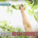 다울농장 이미지