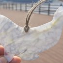 왕산어촌체험휴양마을 이미지