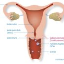 하나비뇨기과의원 이미지