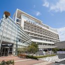 아르피나 이미지