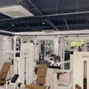 Wayfit PT 이미지