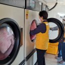 중동세탁 이미지