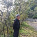 석탄(중석) 이미지