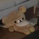 01-55 동구 | W.01 호불호 확실한 예신 예랑 홀계약 후기_1탄