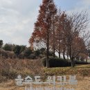 하단동1142 이미지