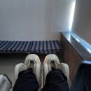 뽀뽀하니 | 일상기록: 2월 셋째주