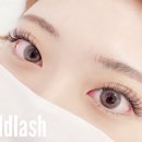 에드래쉬