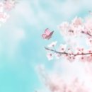 상쾌한치과의원 이미지