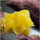 고구마짐 | 코스트코 달수고구마 오븐 굽기 시간 맛 식감 솔직후기